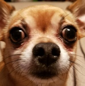 Meet your Posher, Michelle